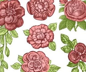 Ornate Roses free vector