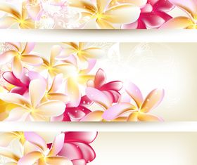 Beautiful flower banner 2 vector