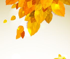 Autumn leaf and Sunlight background vector