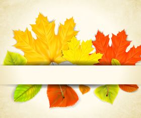Autumn Leaf theme background 3 vector