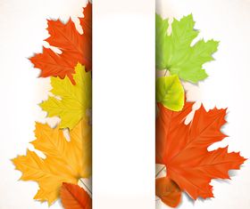 Autumn Leaf theme background 4 vector