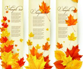 Autumn Leaves banner vector graphics