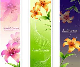 Lily banner 1 vector set