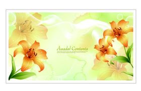 Beautiful Lily background 1 vector material