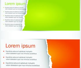 Color Torn paper banner vector graphics