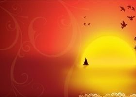 Tropical Night Graphics vector