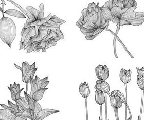 Ornate Flowers graphic vector design