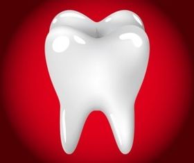 Tooth vector