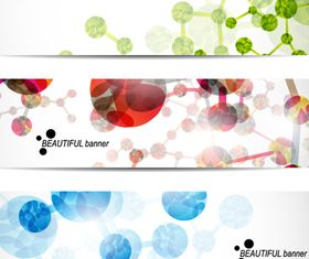 Beautiful banner vector