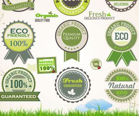 Eco natural labels 3 vector