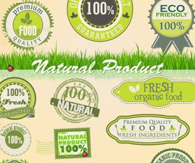 Eco natural labels 4 vector