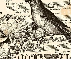 Menu Backgrounds 10 vector