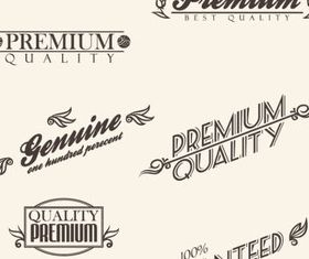 Vintage adornment labels vector