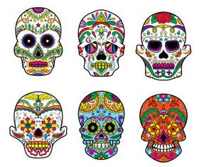 Floral Skull 3 set creative vector