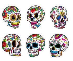 Floral Skull 5 set creative vector