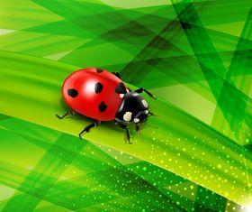 Ladybug green background design vector