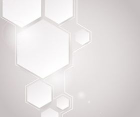 White Hexagon background vector graphics