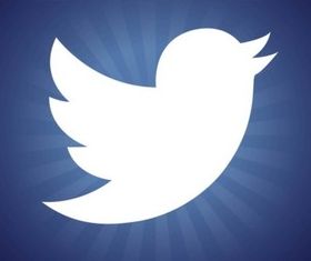 New Twitter Bird Logo vector