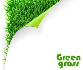 Vivid Green grass 1 vector