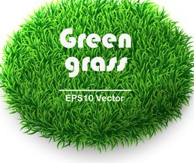 Vivid Green grass 2 vector