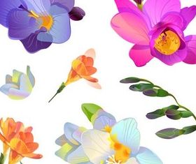 Flowers graphic vector