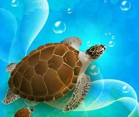 SeBackgrounds vectors