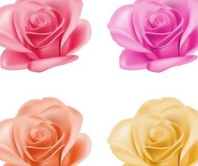 Roses graphic vector