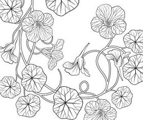 Stylish Ornate Flowers art vector