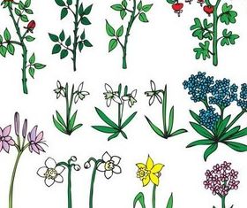 Different Flowers vectors