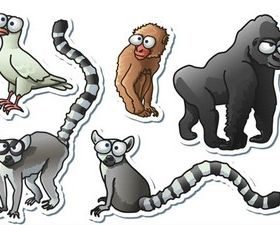 Different Funny Animals art vector