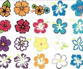 Color Hibiscus graphic creative vector