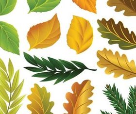 Dark Luxury Labels Vector