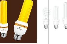 Energy saving lamp Fig shiny vector