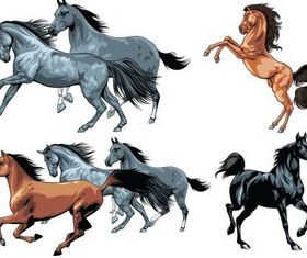 Color Horses graphic vector