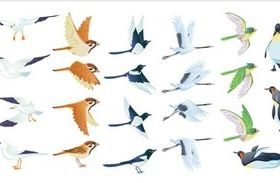 Color Different free vector