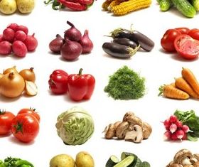 Vegetables graphic vector graphics
