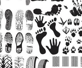 Different Prints Template Vector shiny