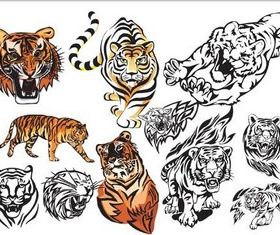 Fierce tigers graphic design vector