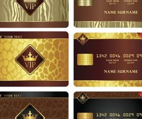 Luxury Plastic Cards creative vector