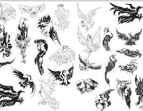 Different eagles free design vector