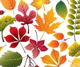 Colorful Leaves free vector