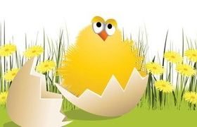 Cartoon chick breaks 1 vectors