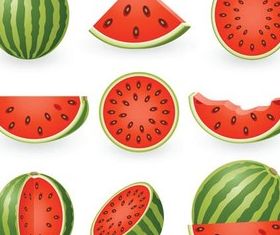 Ripe Juicy Melons vector