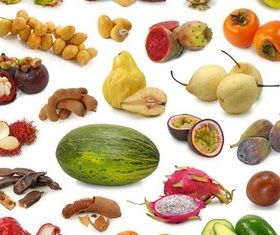 Fresh Fruits graphic shiny vector