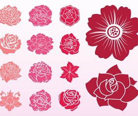 Blooming Flowers Illustration vector