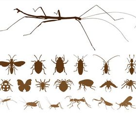 Insect Silhouettes set vector