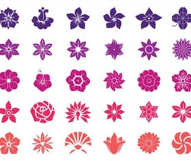 Flower Blossoms Graphics vectors