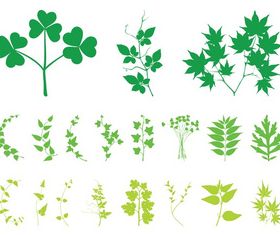Plant Leaves And Branches art vector
