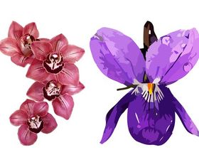 Spring Flowers Graphics Design art vector material