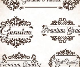 Stylish Vintage Frames 20 vector